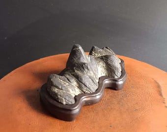 China Natural Stone Mountain Stones Bonsai Suiseki Youlan Orchid