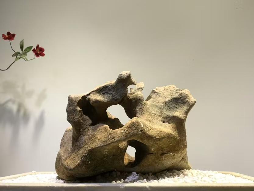 中国 天然石 山石 盆栽水石 太湖石 太湖石 原石 102801 - Etsy 日本