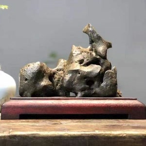 oude collectie China Natuursteen Bergstenen Bonsai Suiseki lingbi steen 长物 n091201
