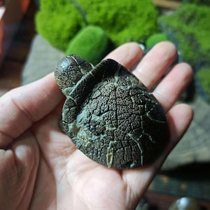 May include: A small, dark brown turtle figurine with a detailed shell texture. The figurine is made of a smooth, hard material and is about the size of a person's hand.