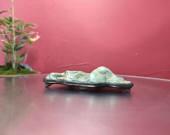 China Natural stone Mountain stones Bonsai Suiseki nine dragons wall stone 九龙壁石 091506
