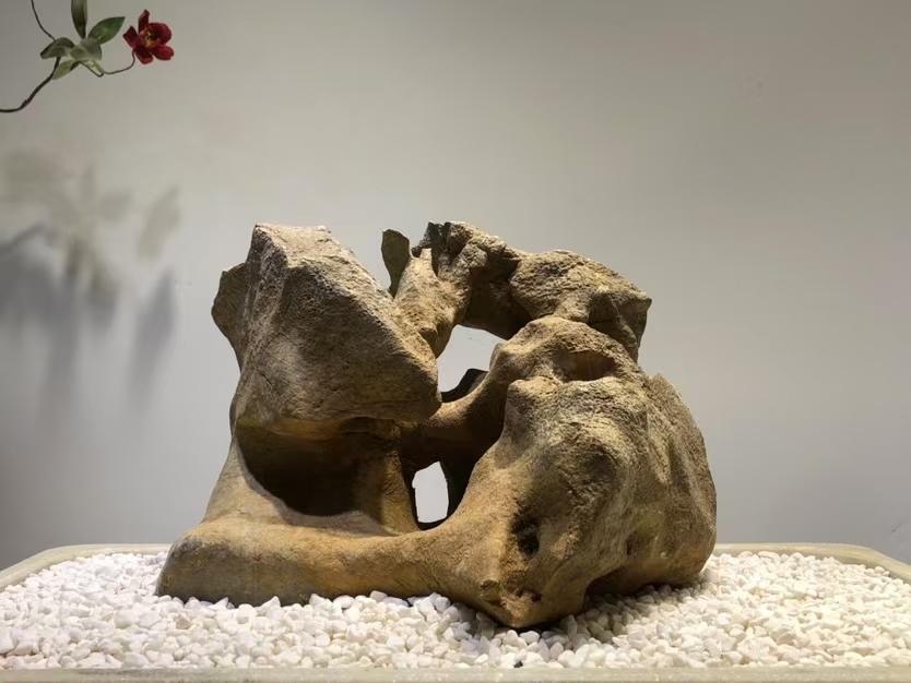 唐物 太湖石 自然体観賞石 水石盆石 飾石 盆景 盆栽 茶室飾 美しい姿 中国 天然石 山石 盆栽水石 太湖石 太湖石 原石 102801 - Etsy 日本