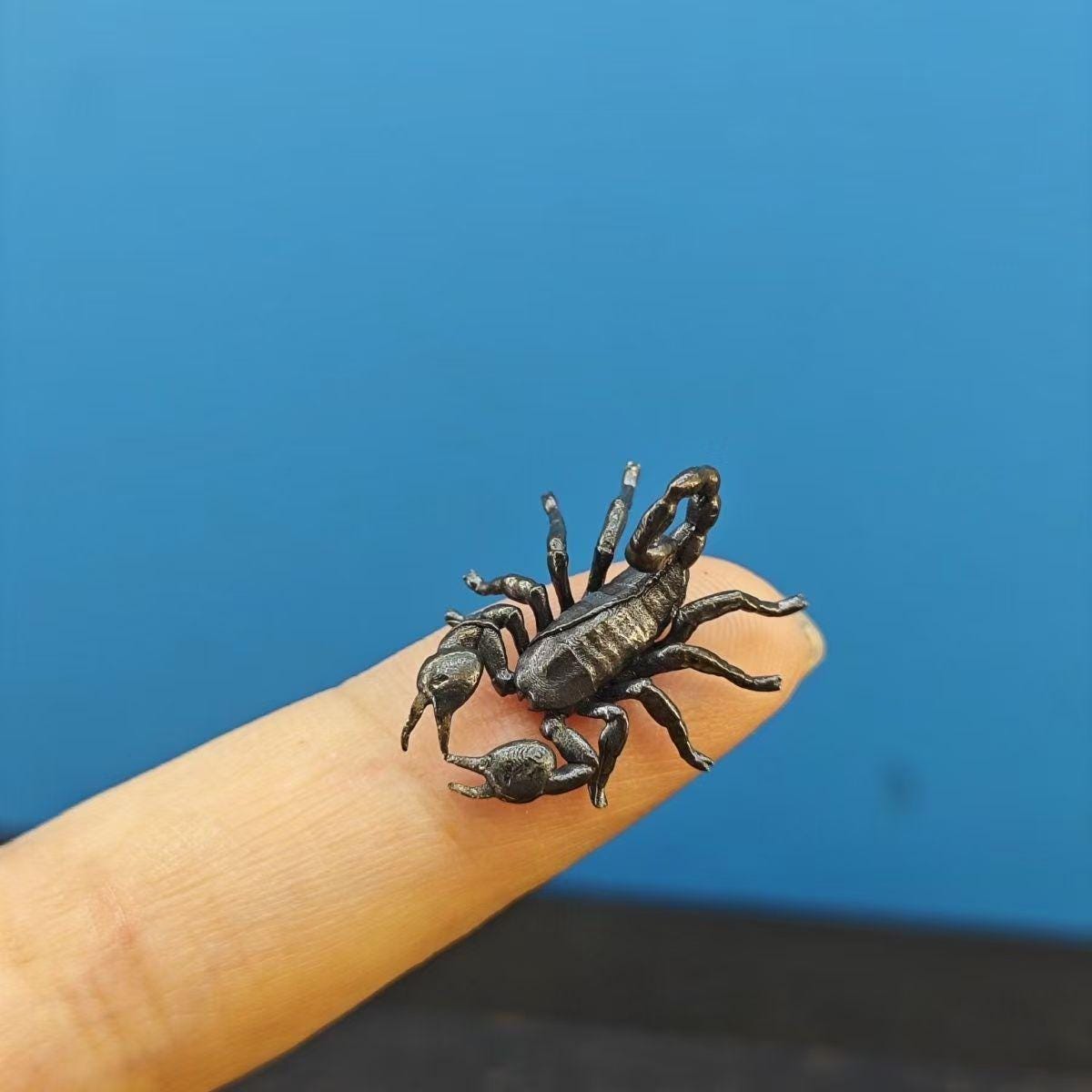 銅製盆栽水石マイクロランドスケープ装飾：サソリ - Etsy 日本