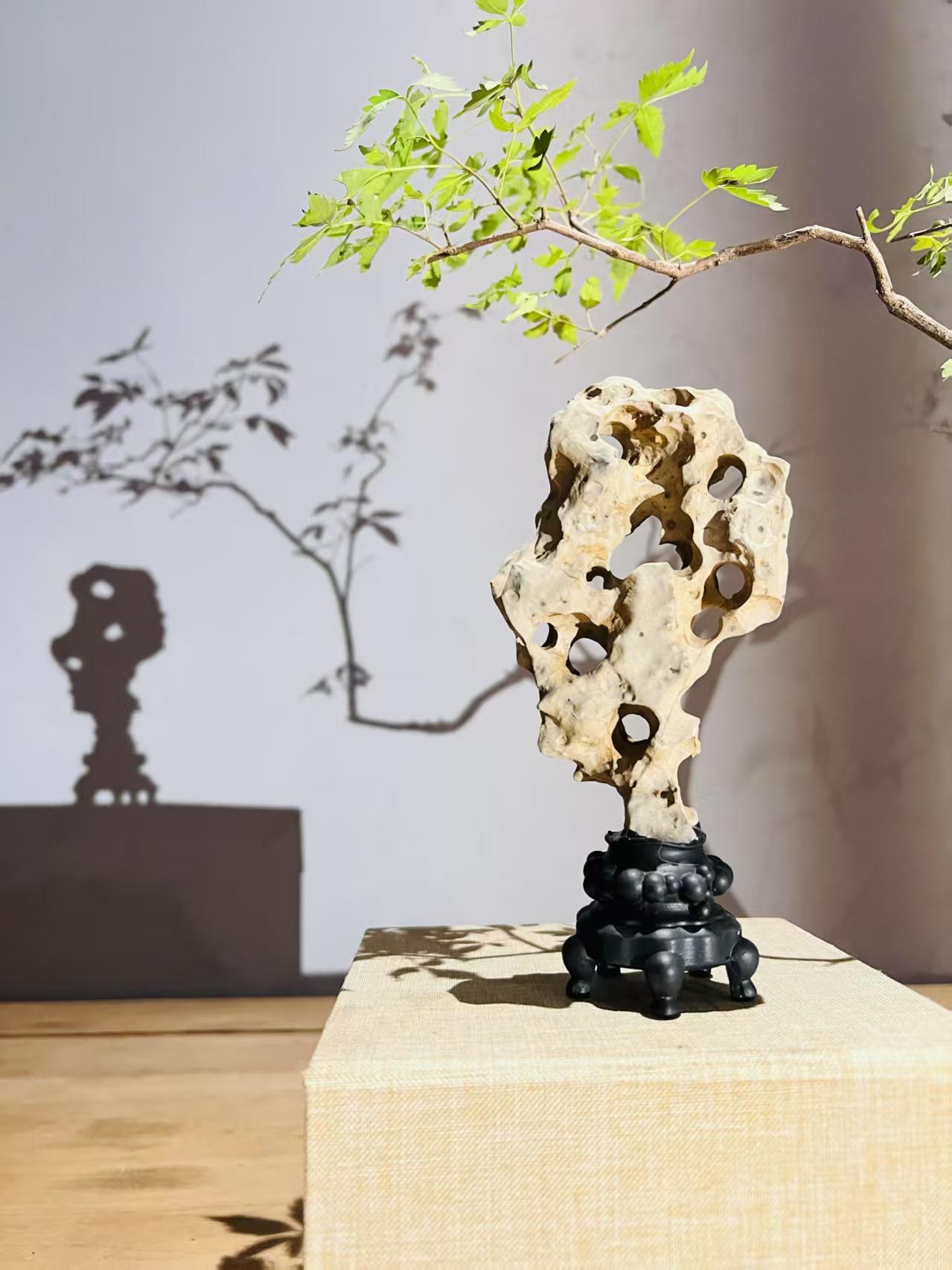 China Natural Stone Mountain Stones Bonsai Suiseki North Taihu