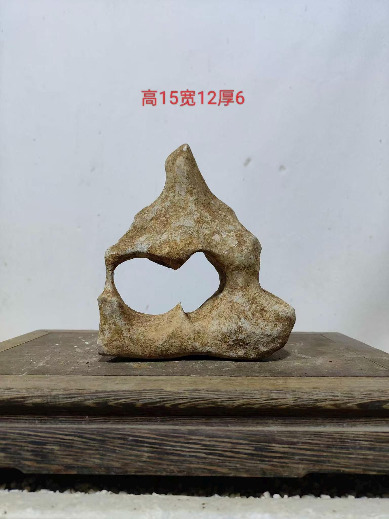 中国 天然石 山石 盆栽水石 太湖石 太湖石 原石 121901 1T - Etsy 日本
