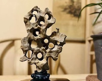 唐物 太湖石 自然体観賞石 水石 盆石 飾石 鑑賞石 茶室飾 美しい姿 Yahoo!オークション -「太湖石」の落札相場・落札価格