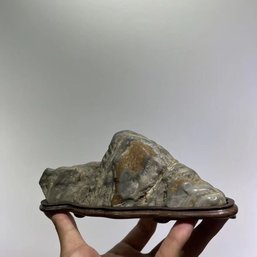 China Natural Stone Mountain Stones Bonsai Suiseki Nine Dragons