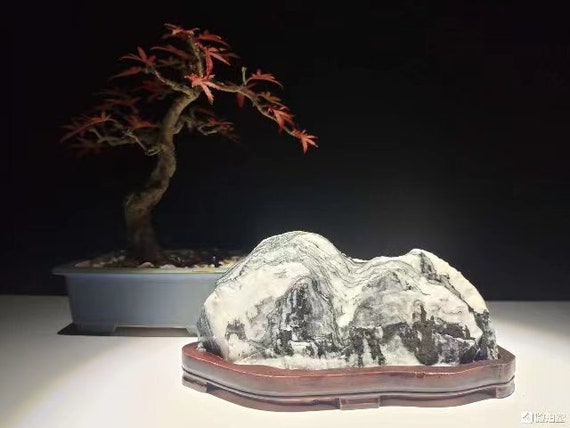China Natural Stone Mountain Stones Bonsai Suiseki Xuan Stone 宣石