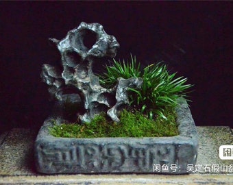 中国陶器彫刻太湖石盆栽水石003 - Etsy 日本