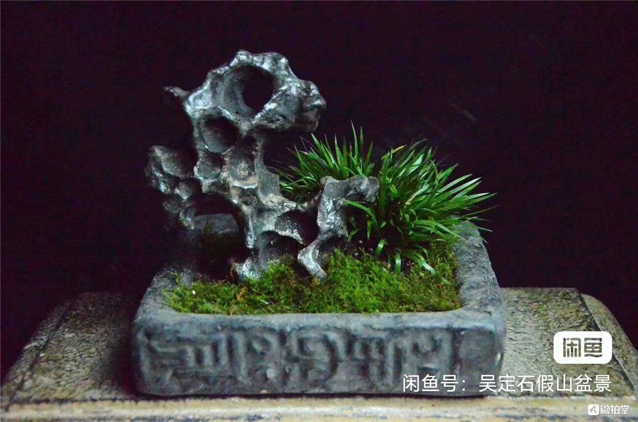 中国陶器彫刻太湖石盆栽水石003 - Etsy 日本