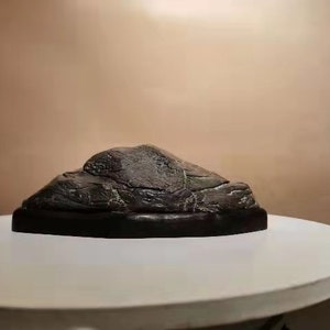 China Natuursteen Bergstenen Bonsai Suiseki lingbi steen 110201