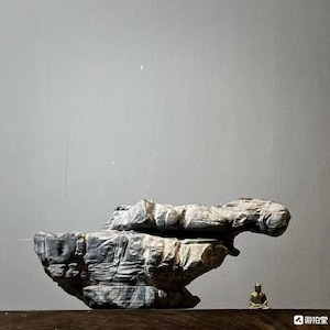 China Natuursteen Bergstenen Bonsai Suiseki lingbi steen 110408