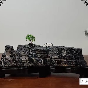 China Natuursteen Bergstenen Bonsai Suiseki lingbi steen 062009