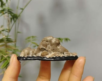 China Natural Stone Mountain Stones Bonsai Suiseki Lingbi Stone 灵
