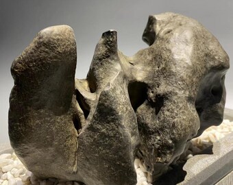 May include: A gray stone sculpture with an abstract shape, resting on a bed of white pebbles in a gray stone container.