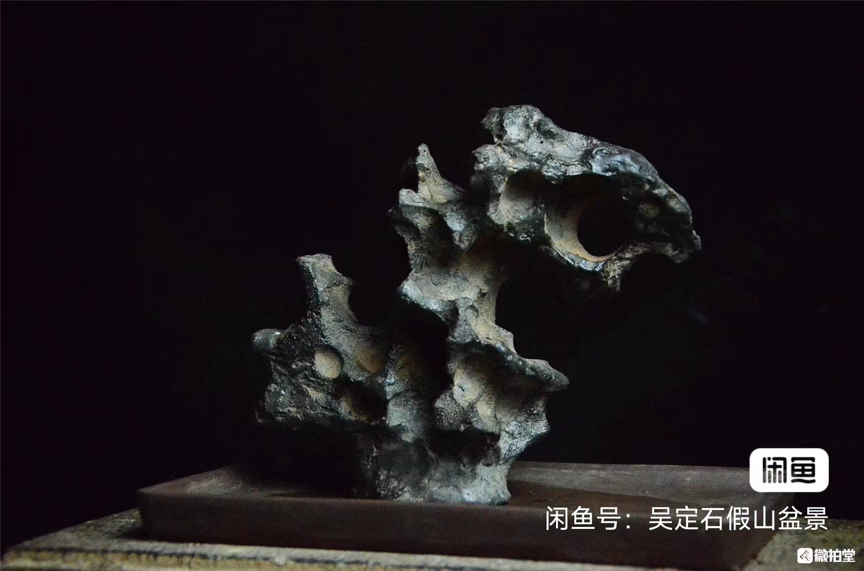 中国陶器彫刻太湖石盆栽水石002 - Etsy 日本
