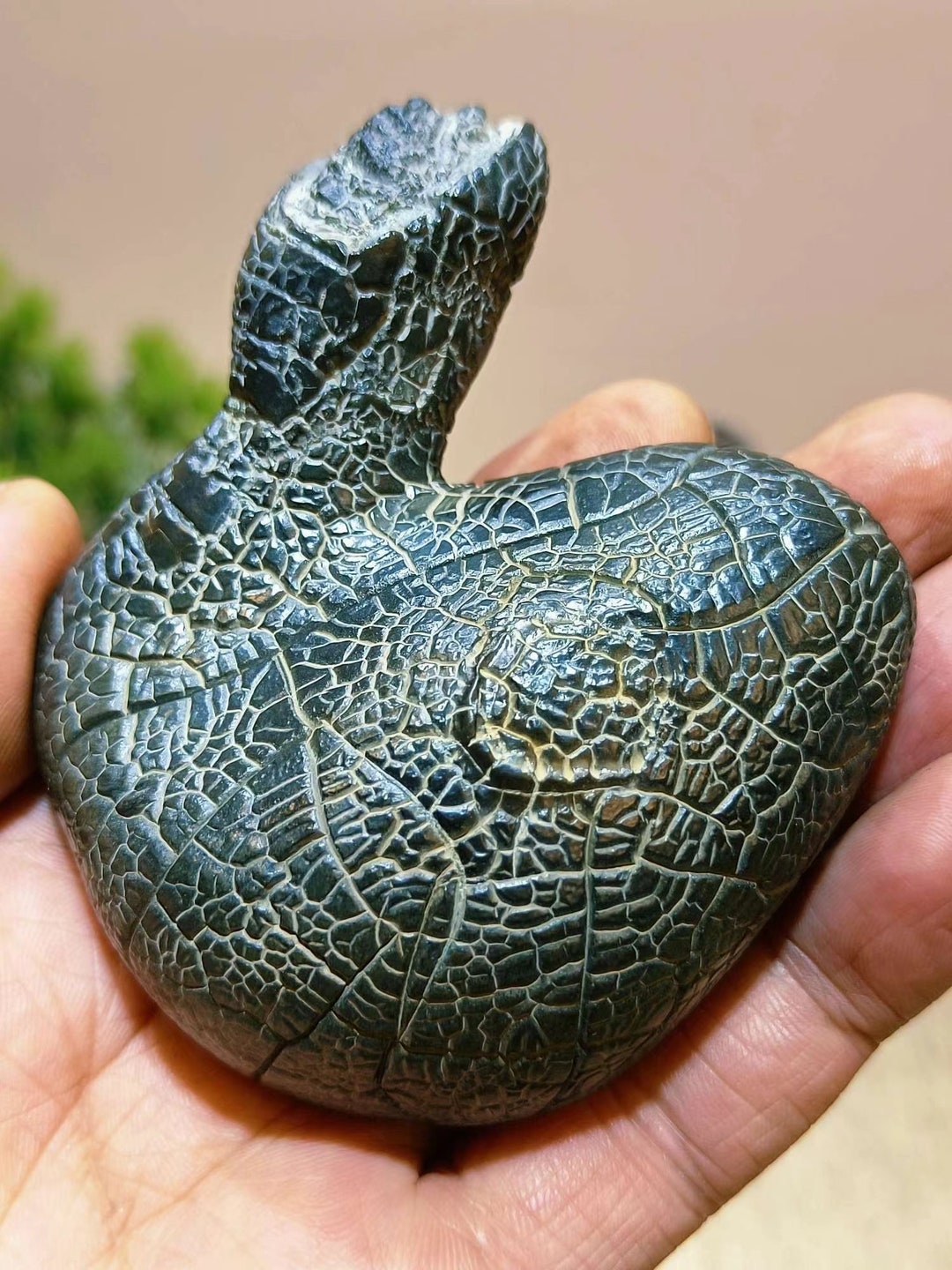 China Natural Stone 
