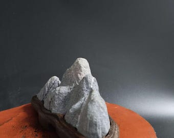 China Natural Stone Mountain Stones Bonsai Suiseki Youlan Orchid