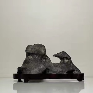 China Natuursteen Bergstenen Bonsai Suiseki lingbi steen 1021