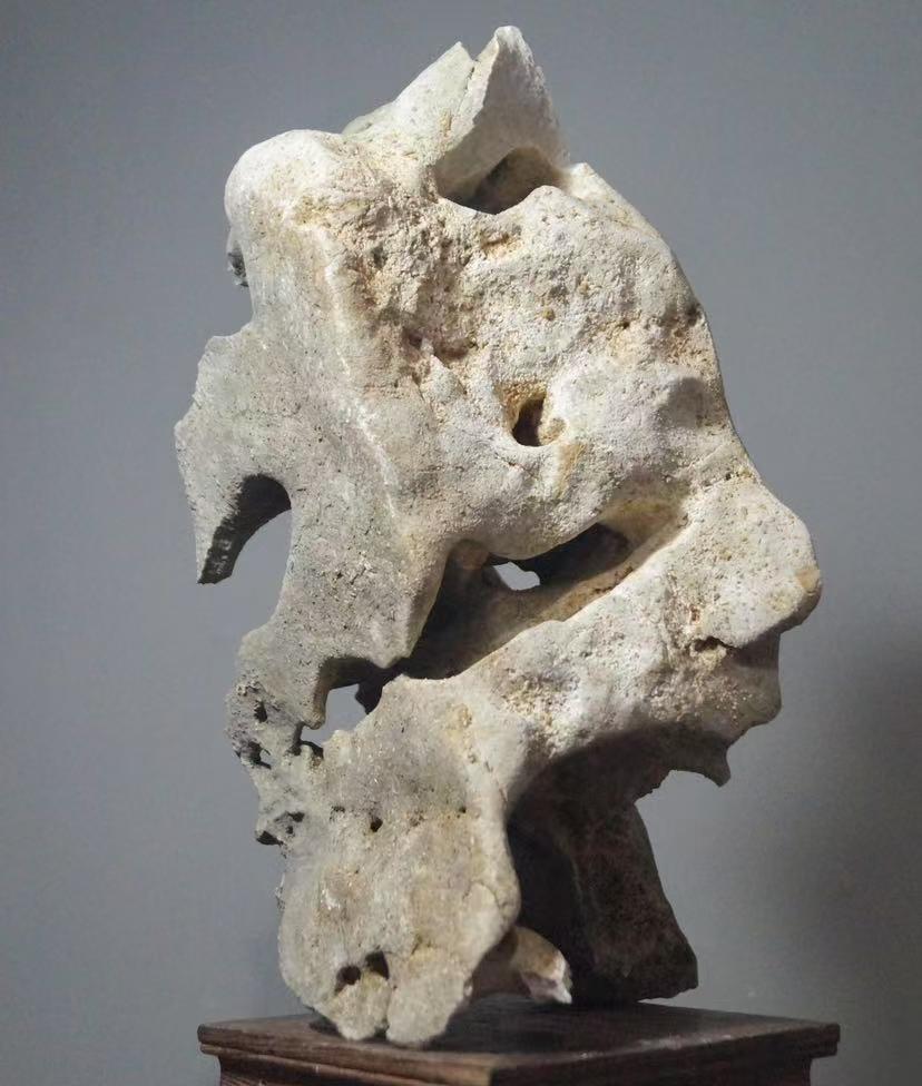 China Natural Stone Mountain Stones Bonsai Suiseki Taihu Stone