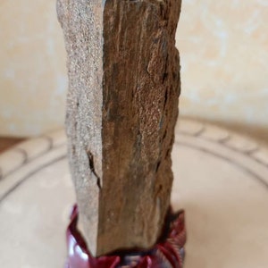 May include: A piece of petrified wood with a rough, brown surface. The wood is mounted on a red base.