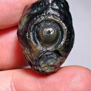 May include: A close-up of a dark, textured stone with concentric circular patterns in shades of green, brown, and black. The stone has a unique, eye-like appearance, with a central dark spot and swirling lines. The surface is rough and uneven.