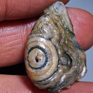 May include: A unique, teardrop-shaped stone with a swirling pattern of beige, brown, and green hues. The stone features a prominent circular design resembling an eye, with a dark center and concentric rings. The surface has a polished, natural appearance.