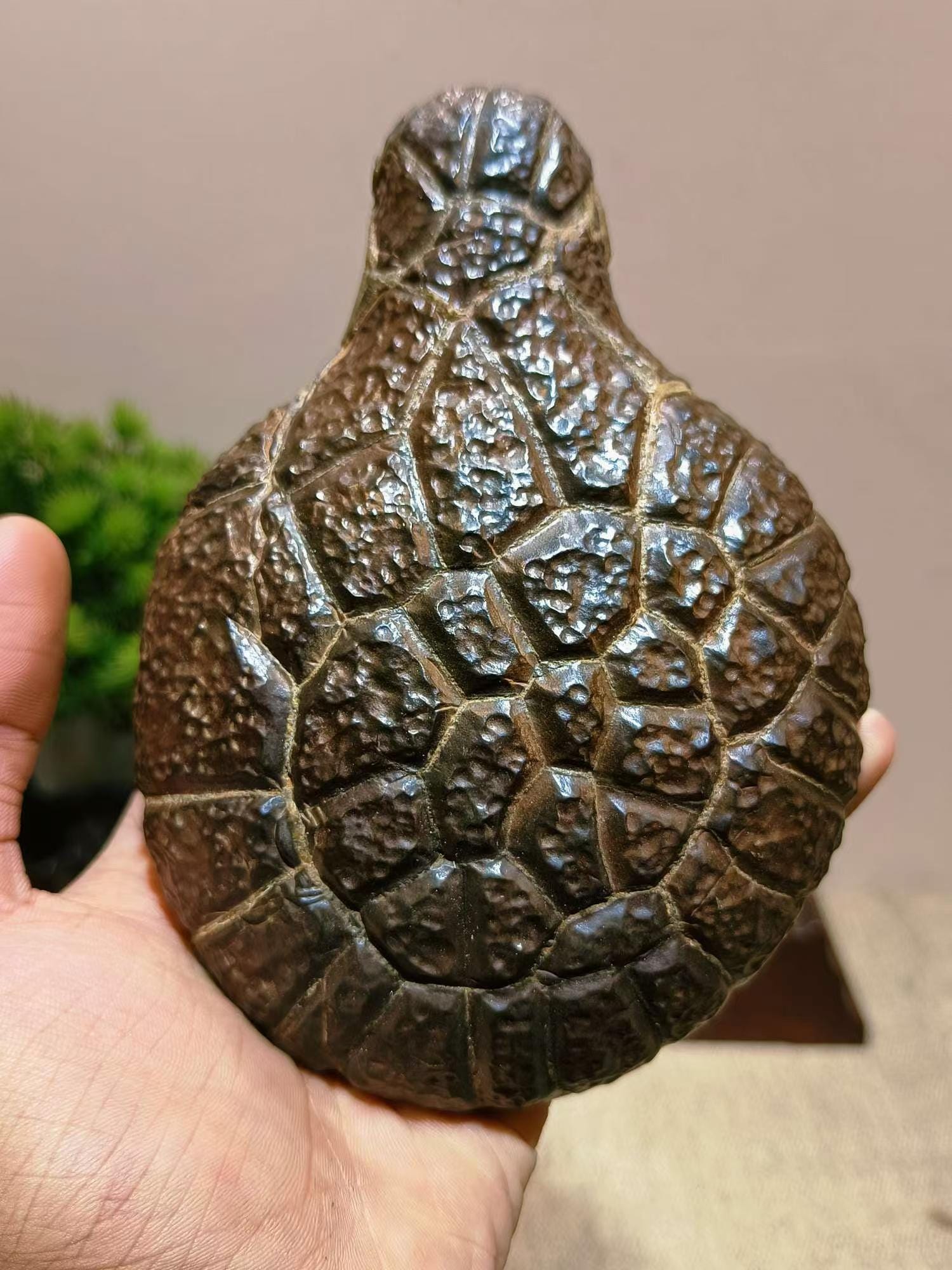 bonsaichina - Etsy 日本