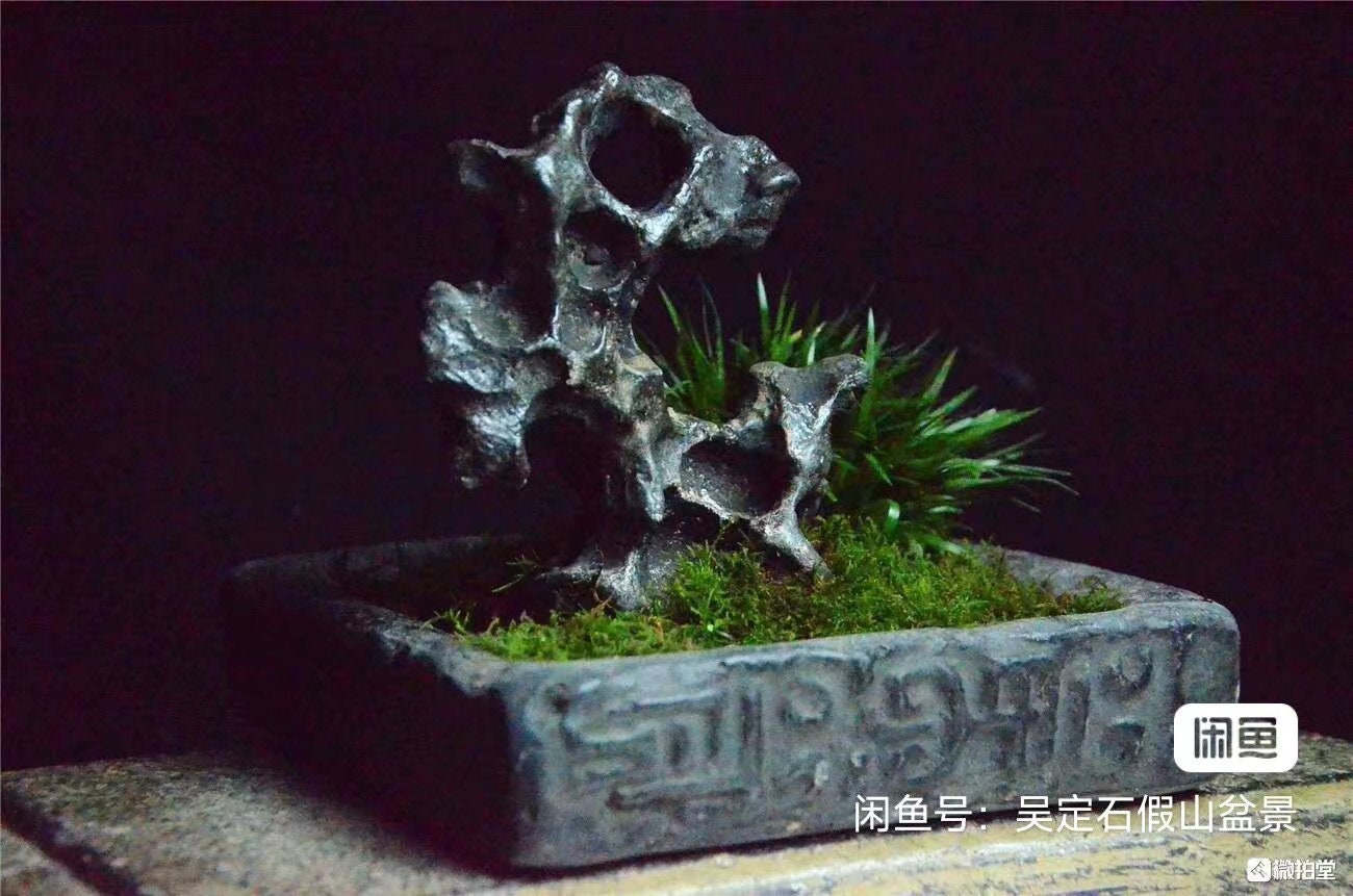 中国陶器彫刻太湖石盆栽水石003 - Etsy 日本