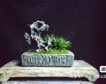 中国陶器彫刻太湖石盆栽水石003 - Etsy 日本