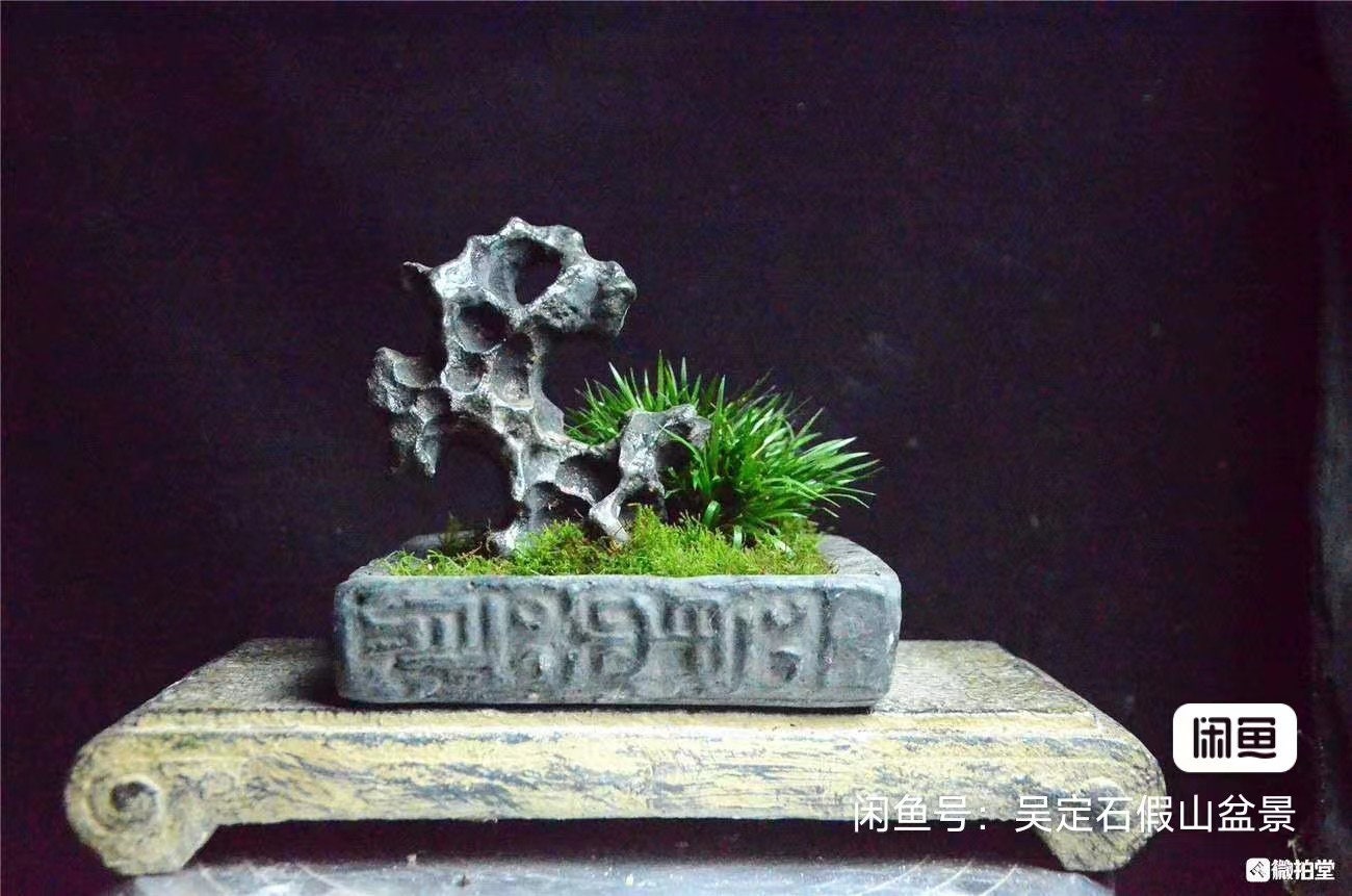 中国陶器彫刻太湖石盆栽水石003 - Etsy 日本