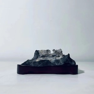 China Natuursteen Bergstenen Bonsai Suiseki lingbi steen 091108