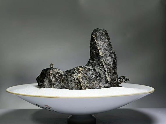 中国天然石 山石 盆栽 水石 アラシャン砂漠 ゴビ石 022601 tt - Etsy 日本