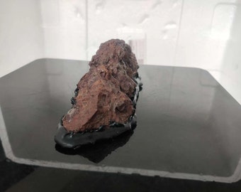 中国天然石山石盆栽水石アラシャン砂漠ゴビ石戈壁石 022601 - Etsy 日本