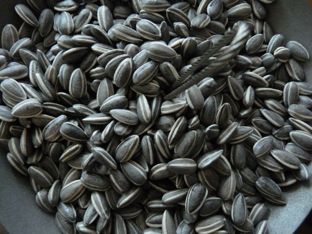 Ai Weiwei Porcelain Sunflower Seeds LONDON TATE MODERN 500 Pcs Etsy UK