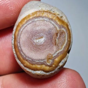May include: A close-up of a polished stone with concentric rings of color. The center is a pale pink, surrounded by bands of white, tan, and brown. The stone has a smooth, rounded shape, and is held in a person's hand.