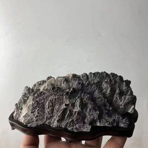 China Natuursteen Bergstenen Bonsai Suiseki lingbi steen 071809