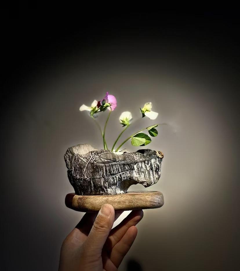 bonsaichina - Etsy 日本