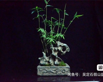 中国陶器彫刻太湖石盆栽水石002 - Etsy 日本