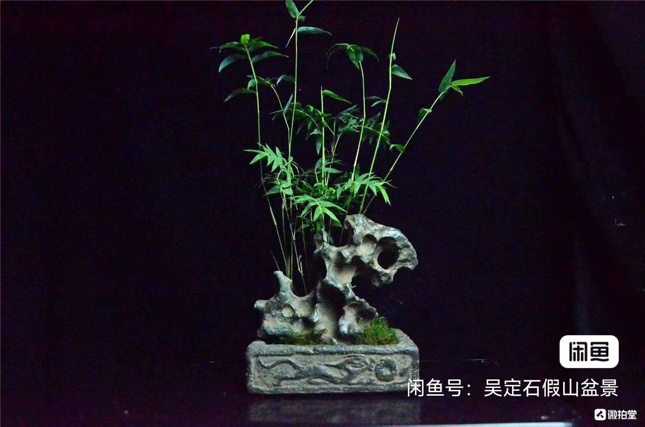 中国陶器彫刻太湖石盆栽水石002 - Etsy 日本