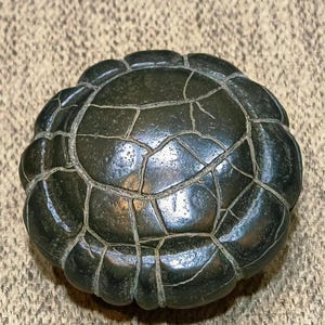 May include: A black, carved turtle sculpture with a detailed shell pattern. The sculpture is made of a smooth, polished stone.