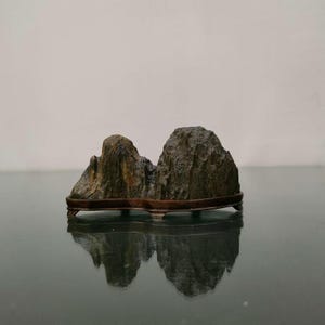 China Natuursteen Bergstenen Bonsai Suiseki lingbi steen 120201 tt