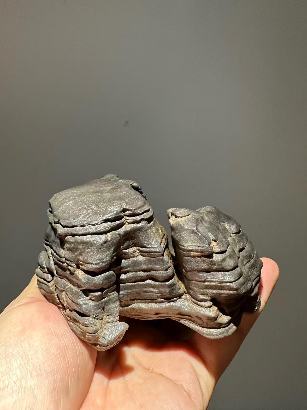 China Natural Stone Mountain Stones Bonsai Suiseki Lingbi Stone