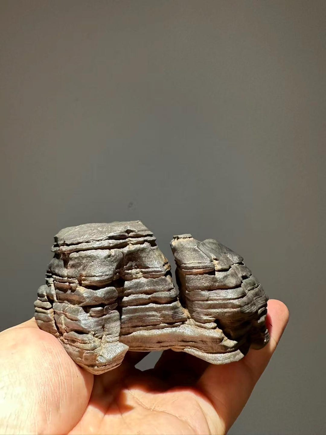 China Natural Stone Mountain Stones Bonsai Suiseki Lingbi Stone