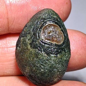 May include: A dark green, oval-shaped stone with a lighter brown, eye-like pattern in the center. The stone has a rough, textured surface and is held between two fingers.