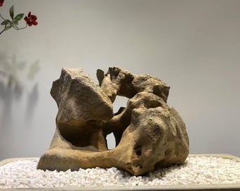 中国 天然石 山石 盆栽水石 太湖石 太湖石 原石 102801 - Etsy 日本