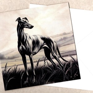 Ritratto artistico di un levriero, carta 15x15 con busta