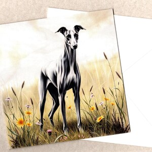 Ritratto artistico di un levriero, carta 15x15 con busta