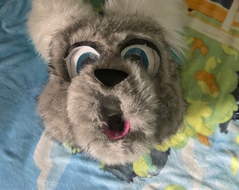 Fursuit head