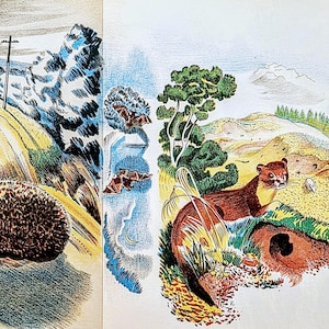 Grabado en madera "Aves silvestres de Gran Bretaña" de John Nash, 1946, artista británico, Golden Cockerel Press, tamaño de impresión aproximado: 13,5 x 9,5 pulgadas.